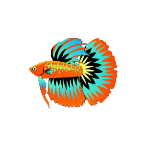 80s Betta